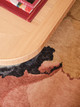 Caldera by The Rug Company in Yomi's home